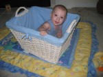 Daddy said something about going to market, to market to buy a fat pig...so I hopped in the shopping basket.