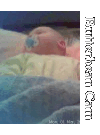 Butterbean Cam