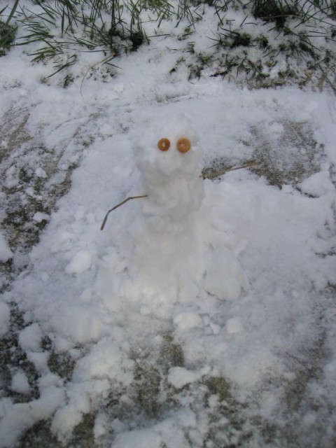 This is the end result of my snow playing.  It must be 10 feet tall!  Or is that inches...?