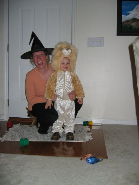 Halloween, 2005.  They dressed me up as a lion.  Oh well, at least they didn't paint circles on my cheeks like the Wizard of Oz lion I saw at the zoo last year.
